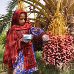 dayanseller.shop-dates-for-export