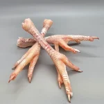 dayanseller.shop-chicken-feet-import-export-iran