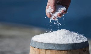 dayanseller.shop-iranian-solt-for-export